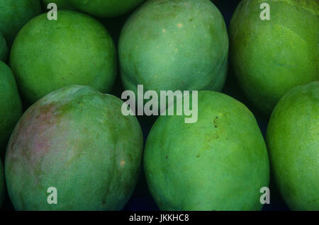 Grüne Mango Früchte hautnah Stockfoto