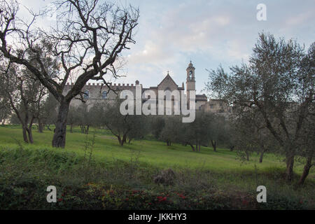 Italien, Florenz - 24. Dezember 2016: der Blick auf Florenz Charterhouse Kirche und grünen Rasen und Bäumen im Vordergrund, Certosa di Galluzzo di Firen Stockfoto