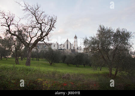 Italien, Florenz - 24. Dezember 2016: der Blick auf Florenz Charterhouse Kirche und grünen Rasen und Bäumen im Vordergrund, Certosa di Galluzzo di Firen Stockfoto