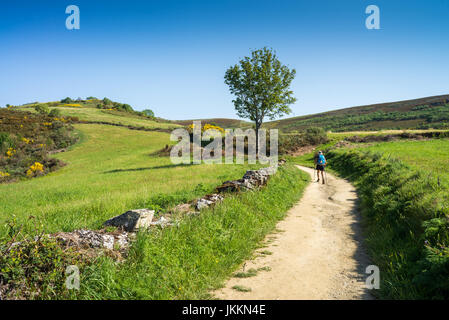 Pilger auf dem Weg von Villafranca del Bierzo und O Cebreiro, Provincia Leon, Spanien, Europa. Camino de Santiago. Stockfoto