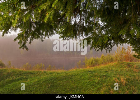 Malerische Waldlandschaft mit einem großen natürlichen grünen Torbogen aus Zweigen Fichte über die nebligen Licht Stockfoto