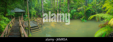 Panoramablick auf einen hölzernen Pavillon von intimen üppigen grünen Regenwald Bäumen umgeben, inmitten einer ruhigen natürlichen Teichwasser. Sarawak Malaysia Stockfoto