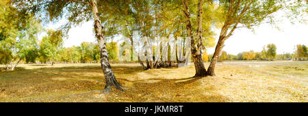 Eine Panorama Aussicht auf malerischen Blick auf die Landschaft im Herbst Farbe Einstellung. Xinjiang Provinz von China. Stockfoto