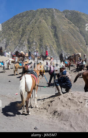 JAVA, Indonesien-AUGUST 16:Tourist Fahrt Pferd und zu Fuß zum Krater des Mount Bromo auf 16. August 2015 in Java, Indonesia.Mt zu sehen. Bromo ist eine aktive vo Stockfoto