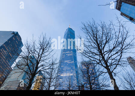 One World Trade Center Zentrum über Bäume im Liberty Park 9/11 Memorial Stockfoto