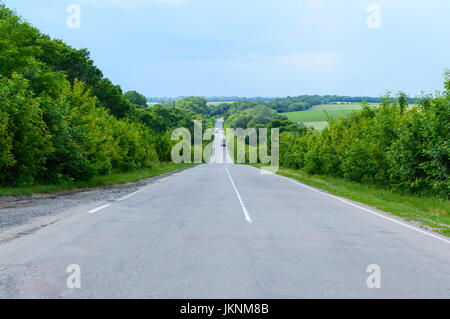 Asphaltstraße, geht in die Ferne. Grüne Bäume sind auf beiden Seiten. Stockfoto