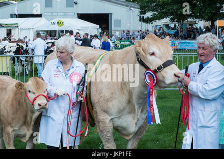 Royal Welsh Agricultural Show, jährlich am Royal Welsh Showground, Llanelwedd, Builth Wells,Powys,Wales,UK,U.K.,Europe, Stockfoto