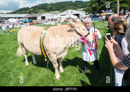 Builth Wells, Wales, UK. 24. Juli 2017. Der erste Preis Meister britische Blondine Stier nach Erhalt der Auszeichnung bei Rindern Ring auf der Royal Welsh Showground. Llanelwedd, Builth Wells, Powys, Wales, UK. Sonnigen öffnung Tag der 4-tägigen Veranstaltung, die die größte ihrer Art in Europa. Credit: Paul Quayle/Alamy leben Nachrichten Stockfoto