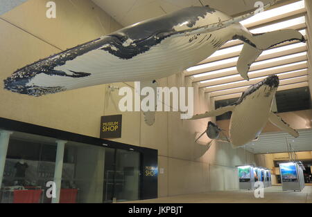 Queensland Museum und Sciencentre in Southbank Brisbane Australien. Stockfoto