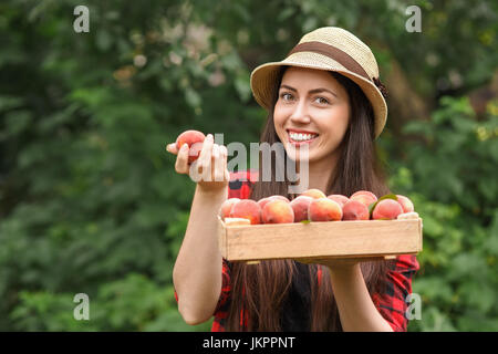 Frau Gärtner halten Pfirsiche Stockfoto