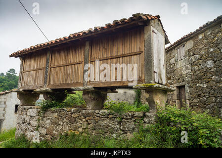 Ein hórreo ist ein typisches Getreidespeicher aus dem Nordwesten der Iberischen Halbinsel (vor allem Galicien, Asturien und Nordportugal), Galizien, Spanien, Europa. Stockfoto