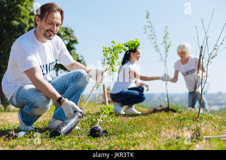 Aufmerksam gewidmet Kerl Jährlinge Vorbereitung, Pflanzung Stockfoto