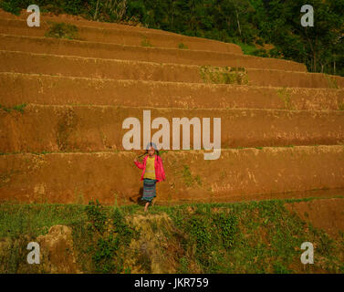 Mu Cang Chai, Vietnam - 28. Mai 2016. Ein Mädchen geht auf Reisfeld in Mu Cang Chai, Vietnam. Mu Cang Chai ist berühmt für seinen 700 ha terrassierten ric Stockfoto