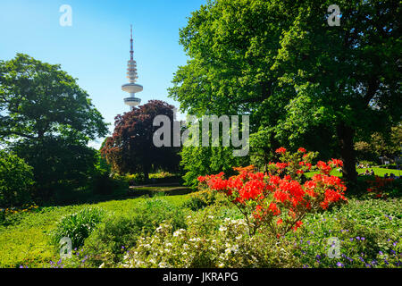 Park planen un Blomen in Hamburg, Deutschland, Europa, Park Planten un Blomen in Hamburg, Deutschland, Europa Stockfoto