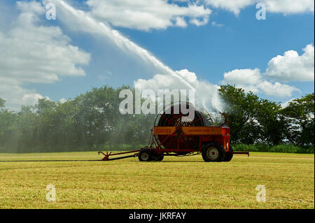 Bewässerung Fahrzeug im Feld Stockfoto