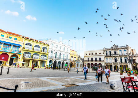 Plaza Vieja Havanna Kuba, kubanische Plaza, Plaza Vieja (Altstadt), Havanna, Kuba, Habana quadratisch, Havanna, Kuba. Plaza Vieja, Habana Vieja, Havanna, Kuba, Stockfoto