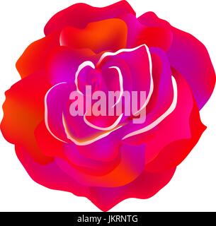 Große Rose. Zusammenfassung Hintergrund rote Vektorgrafiken Stock Vektor