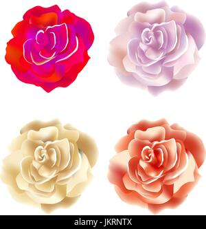 Große Rose. Zusammenfassung Hintergrund rote Vektorgrafiken Stock Vektor