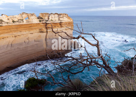 Nahaufnahme eines Teils des Loch Ard Gorge, Port Campbell National Park, Victoria, Australien Stockfoto