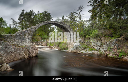 Die 300 Jahre alte Lastesel-Brücke bei Carrbridge, in der Nähe von Aviemore in den schottischen Highlands Stockfoto