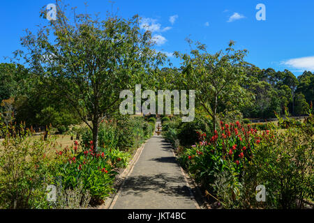 Government Gardens auf historische Stätte Port Arthur (ehemaliger Sträfling Siedlung) auf der Tasman-Halbinsel in Tasmanien, Australien Stockfoto