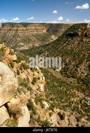 Blick nach Norden auf Soda Canyon, Mesa Verde Nationalpark, Colorado, USA von Soda Canyon Overlook zeigt typische Schluchtenlandschaft des Parks. Stockfoto