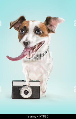 Hund mit einer alten Kamera fotografieren Stockfoto