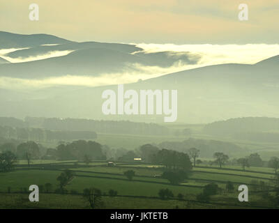 Bäume, die aus steigenden Nebel klammerte sich an Konturen der Hügel wie Nebel über die Howgill-Hügel in Cumbria, England, UK löscht Stockfoto