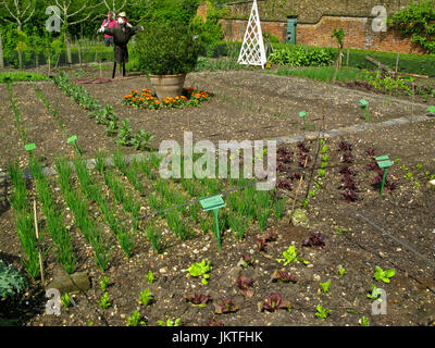 Kitchen Garden im Chenies Manor House and Gardens, Chenies, Buckinghamshire, Großbritannien Stockfoto