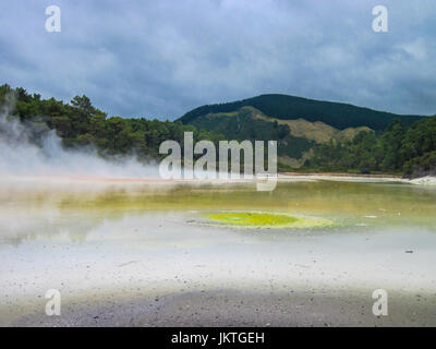 Geothermische Dampf aus gelber Schwefel Pools im Wai-o-Tapu geothermischen Park, North Island, Neuseeland, in der Nähe von Rotorua. Stockfoto