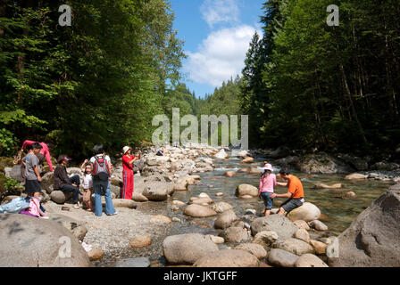 Lynn Creek im Lynn Canyon Park, North Vancouver, British Columbia, Kanada Stockfoto