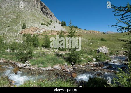 Ansicht des Col De La Cayolle, Alpes de Hautes Provence, Frankreich - Berglandschaft in den französischen Alpen im Sommer Stockfoto