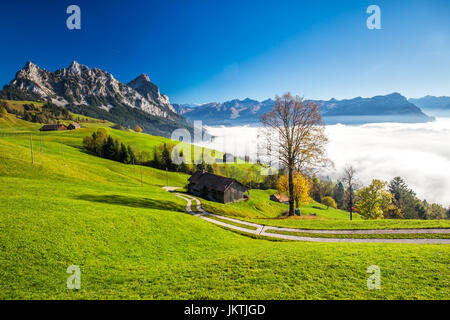 Nebel umgibt, Grosser und Kleiner Mythen, Vierwaldstättersee, Rigi Berg Brunnen Stadt vom Sattel, Zentralschweiz. Stockfoto