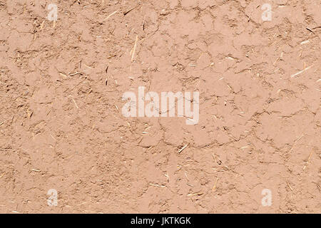 Full-Frame-Nahaufnahme von einem Adobe-Schlamm Wand in New Mexico. Die Textur und Strohhalme sind sichtbar. Stockfoto