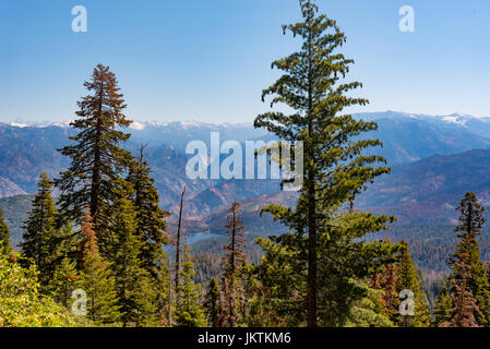 Blick in Richtung Hume Lake von Panoramic Point-Aussichtspunkt im Kings Canyon Nationalpark, Kalifornien Stockfoto