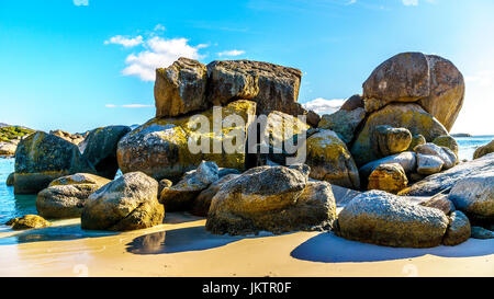 Großen Granitfelsen am Boulders Beach, einem beliebten Natur reservieren und Heimat für eine Kolonie von afrikanischen Pinguinen, im Dorf von Simons Town am Kap Stockfoto