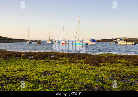 Boote auf ihren Liegeplätzen neben Cockle Insel in den Gezeiten Naturhafen am Groomsport in Co Down, Nordirland mit Belfast Lough in der Hinterg Stockfoto