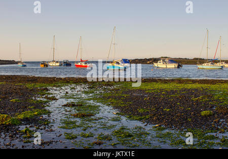 Boote auf ihren Liegeplätzen neben Cockle Insel in den Gezeiten Naturhafen am Groomsport in Co Down, Nordirland mit Belfast Lough in der Hinterg Stockfoto