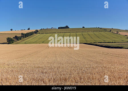 Die Website von der Schlacht von Flodden Feld betrachtet von The Flodden Monument. Branxton, Northumberland, England, Vereinigtes Königreich, Europa. Stockfoto