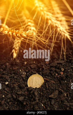 Ein-Euro-Münze in Boden und geernteten Ähren für Landwirtschaft und Agrar-Industrie-Konzept Stockfoto