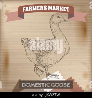 Vintage Bauernmarkt Label mit inländischen Gans. Stock Vektor