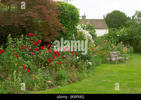 Englischer Cottage-Garten mit roten Rosen, Sträucher und Rasen Stockfoto