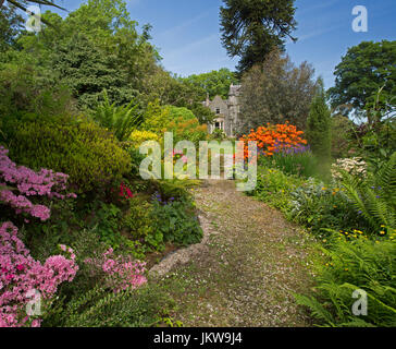 Bunte Garten mit Azaleen, Rhododendren und Farnen mit Weg zum entfernten Haus auf Insel von Bute, Schottland Stockfoto