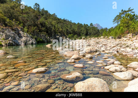 Solenzara-Schlucht, Sari-Solenzara, Korsika, Frankreich Stockfoto