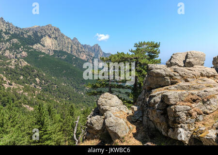 Aiguilles de Bavella, Parc Naturel regional de Corse, Korsika, Frankreich Stockfoto