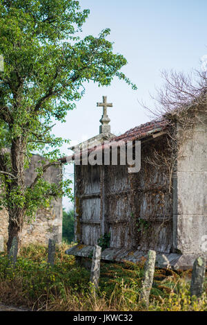 Ein hórreo ist ein typisches Getreidespeicher aus dem Nordwesten der Iberischen Halbinsel (vor allem Galicien, Asturien und Nordportugal), Galizien, Spanien, Europa. Stockfoto