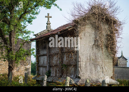 Ein hórreo ist ein typisches Getreidespeicher aus dem Nordwesten der Iberischen Halbinsel (vor allem Galicien, Asturien und Nordportugal), Galizien, Spanien, Europa. Stockfoto