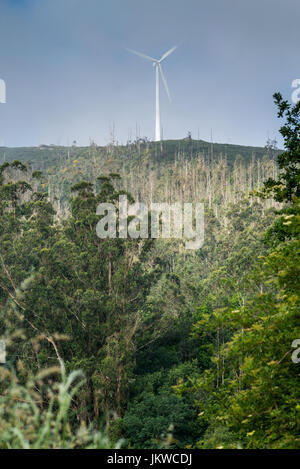 Windkraftanlagen, Camino de Santiago, Galizien, Spanien, Europa. Stockfoto