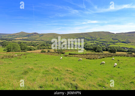Hoffe Tal und der großen Kamm aus der Pennine Way Edale, Derbyshire, Peak District National Park, England, UK. Stockfoto