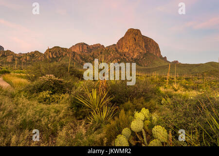 Chisos Berge bei Sonnenaufgang im Big Bend National Park. Dies ist der einzige Gebirge vollständig enthalten in einem Nationalpark. Stockfoto